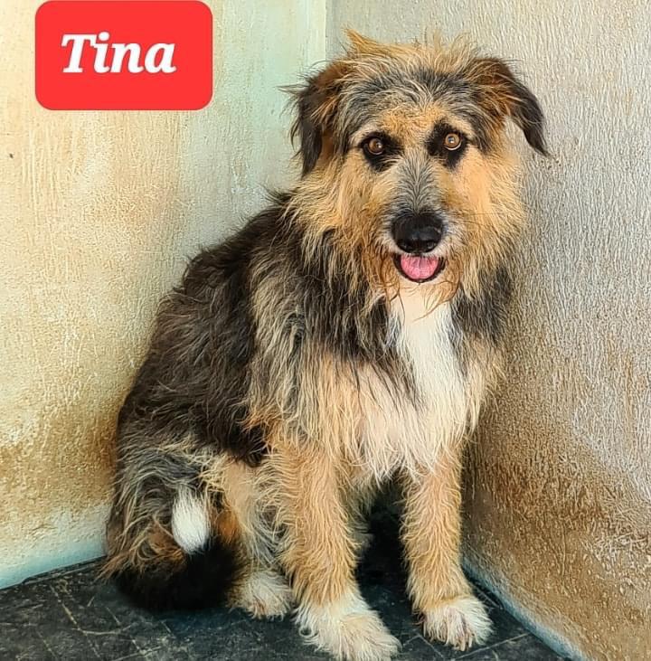 TINA (Maria)