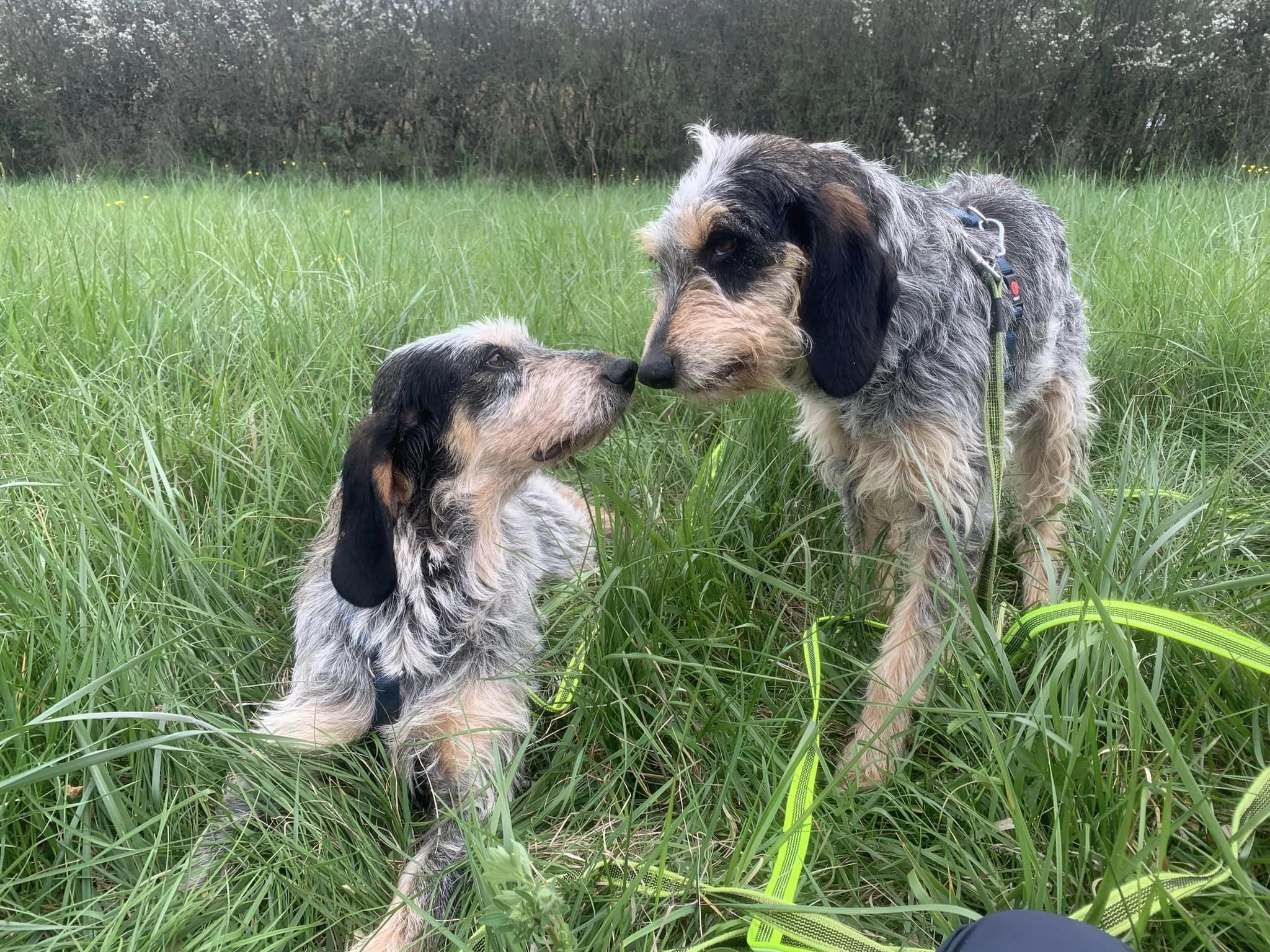 CLOCHETTE ET CLAUDINE