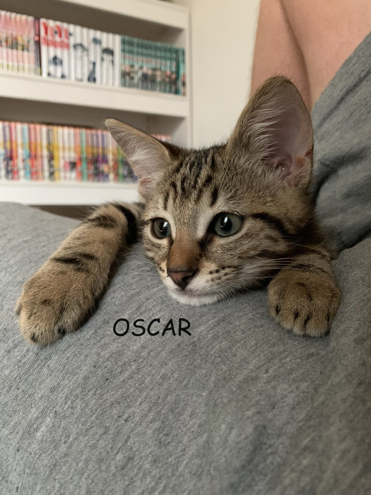 OSCAR