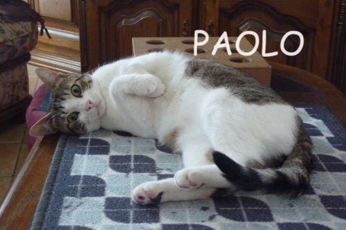 PAOLO