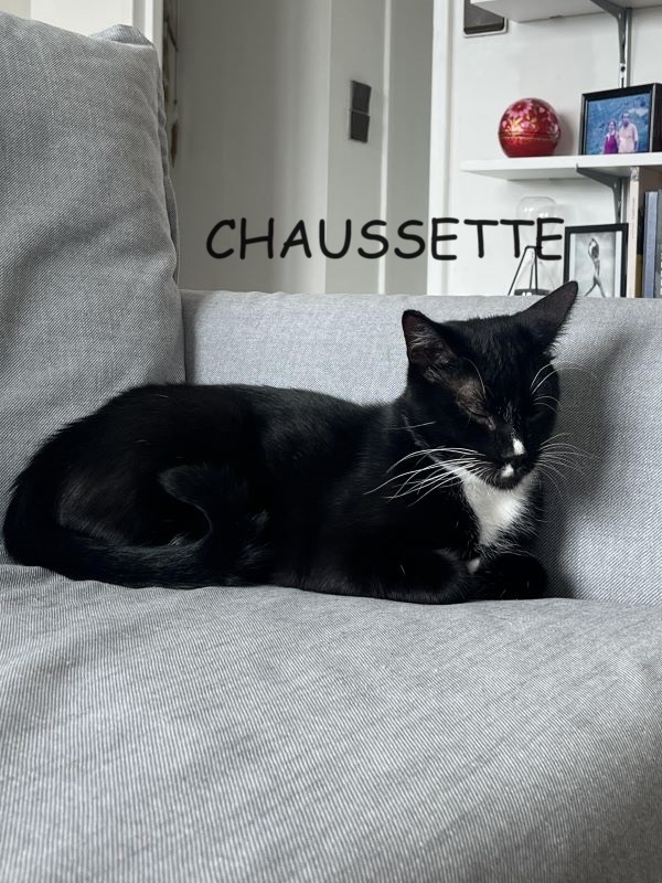 CHAUSSETTE