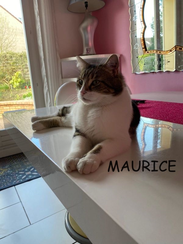 MAURICE