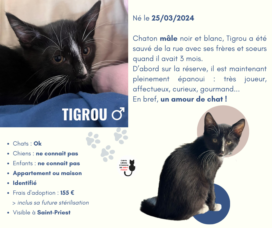 Tigrou