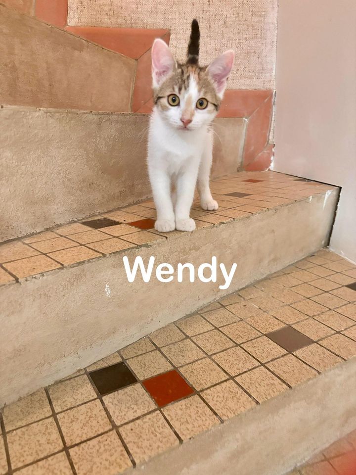 Wendy