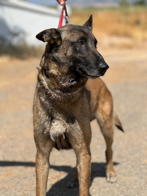 BUBU (Puertollano)