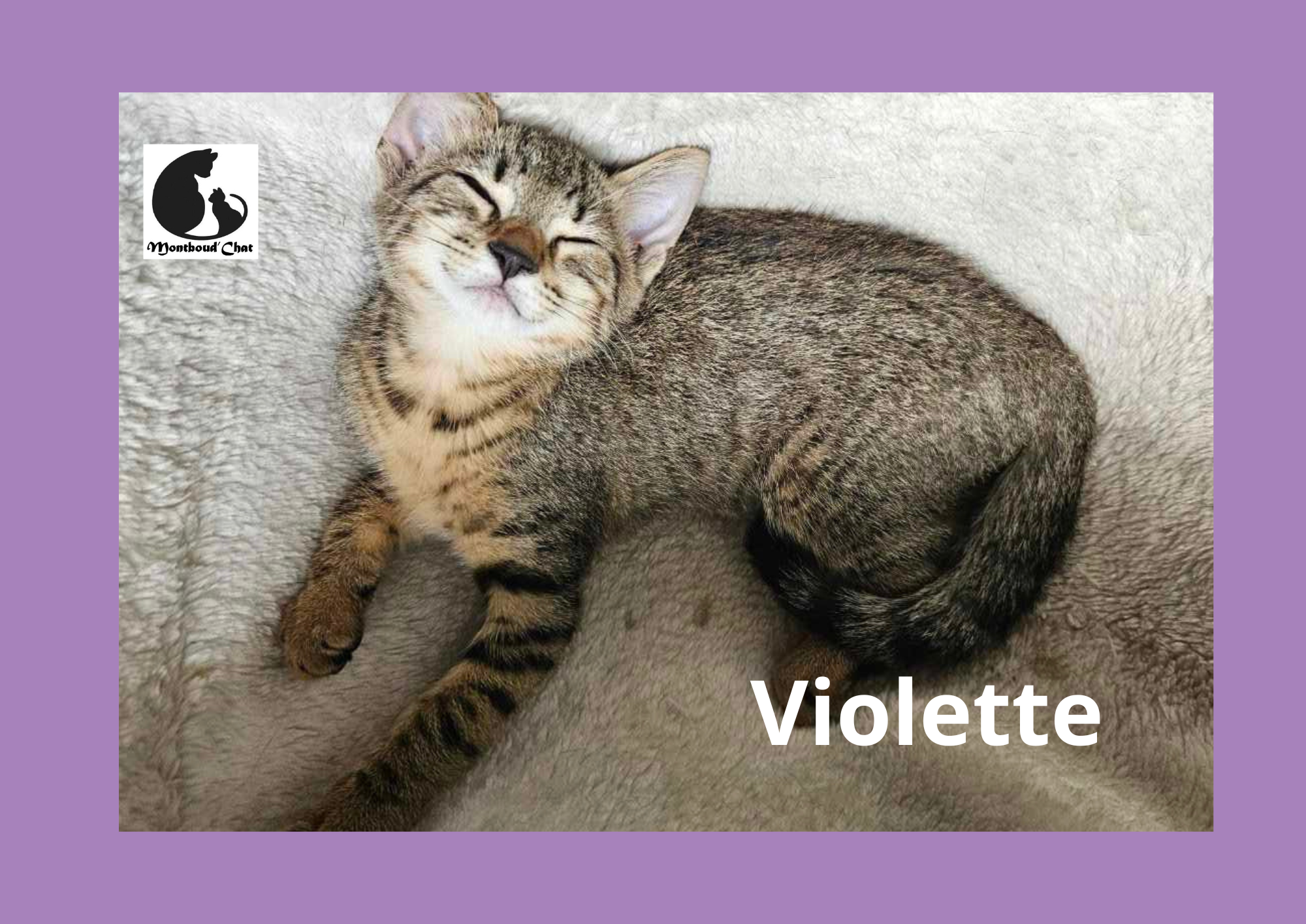 Violette