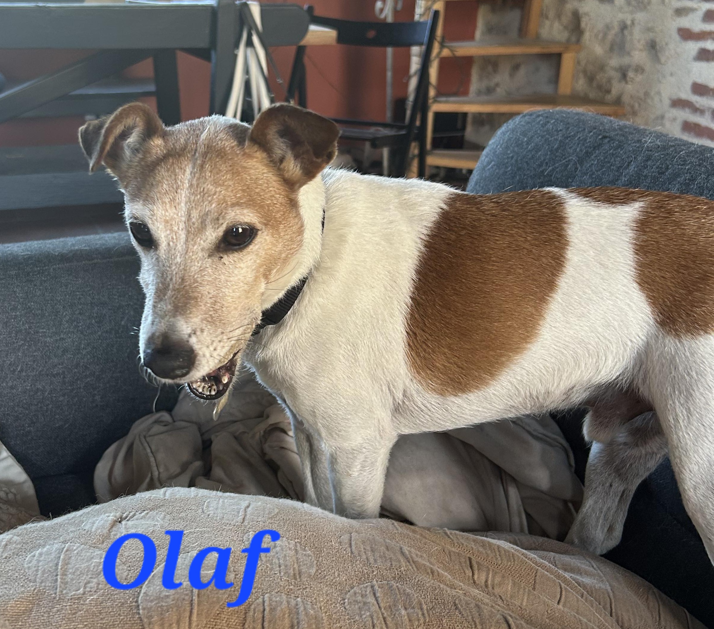 Olaf