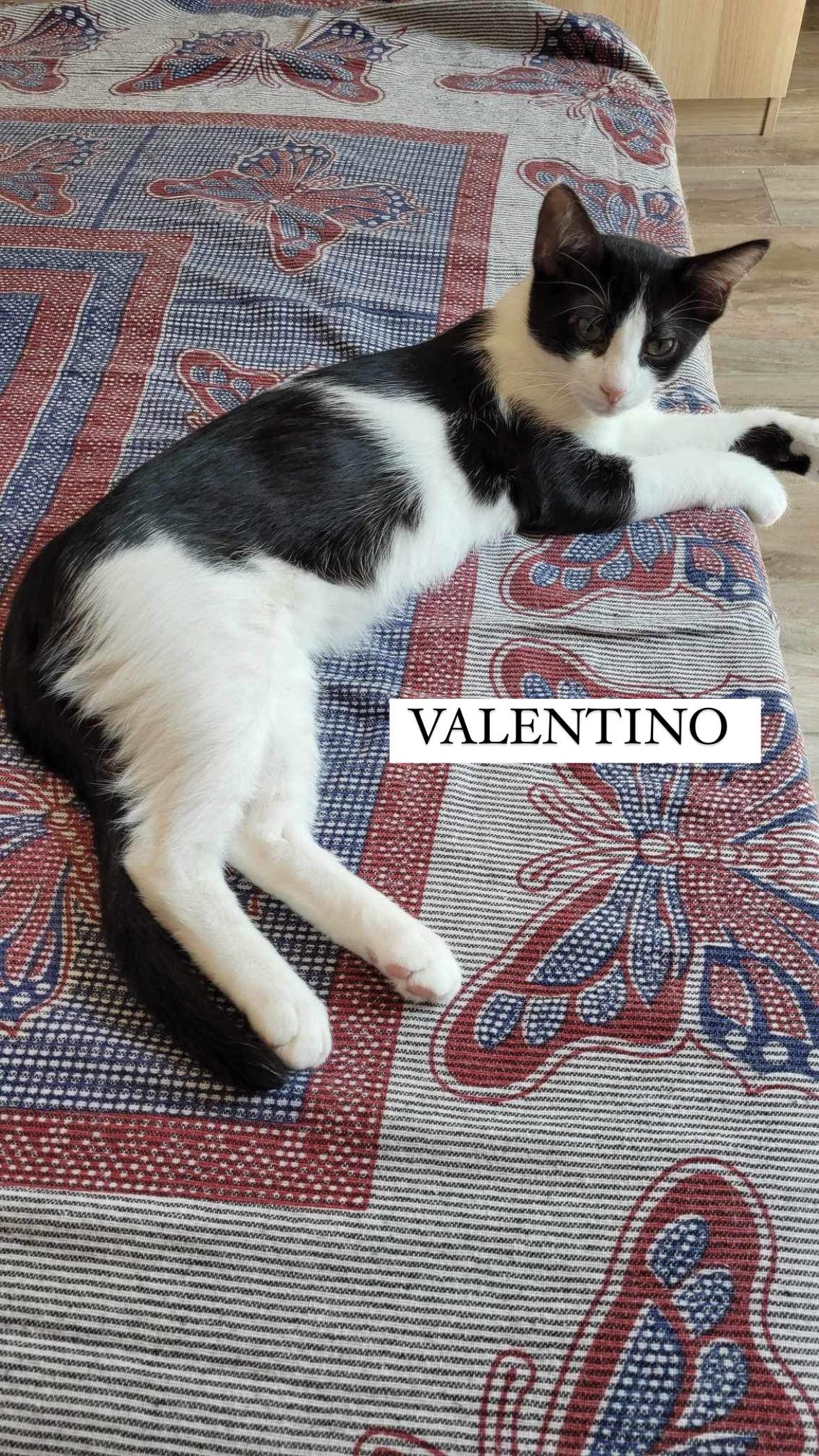 Valentino