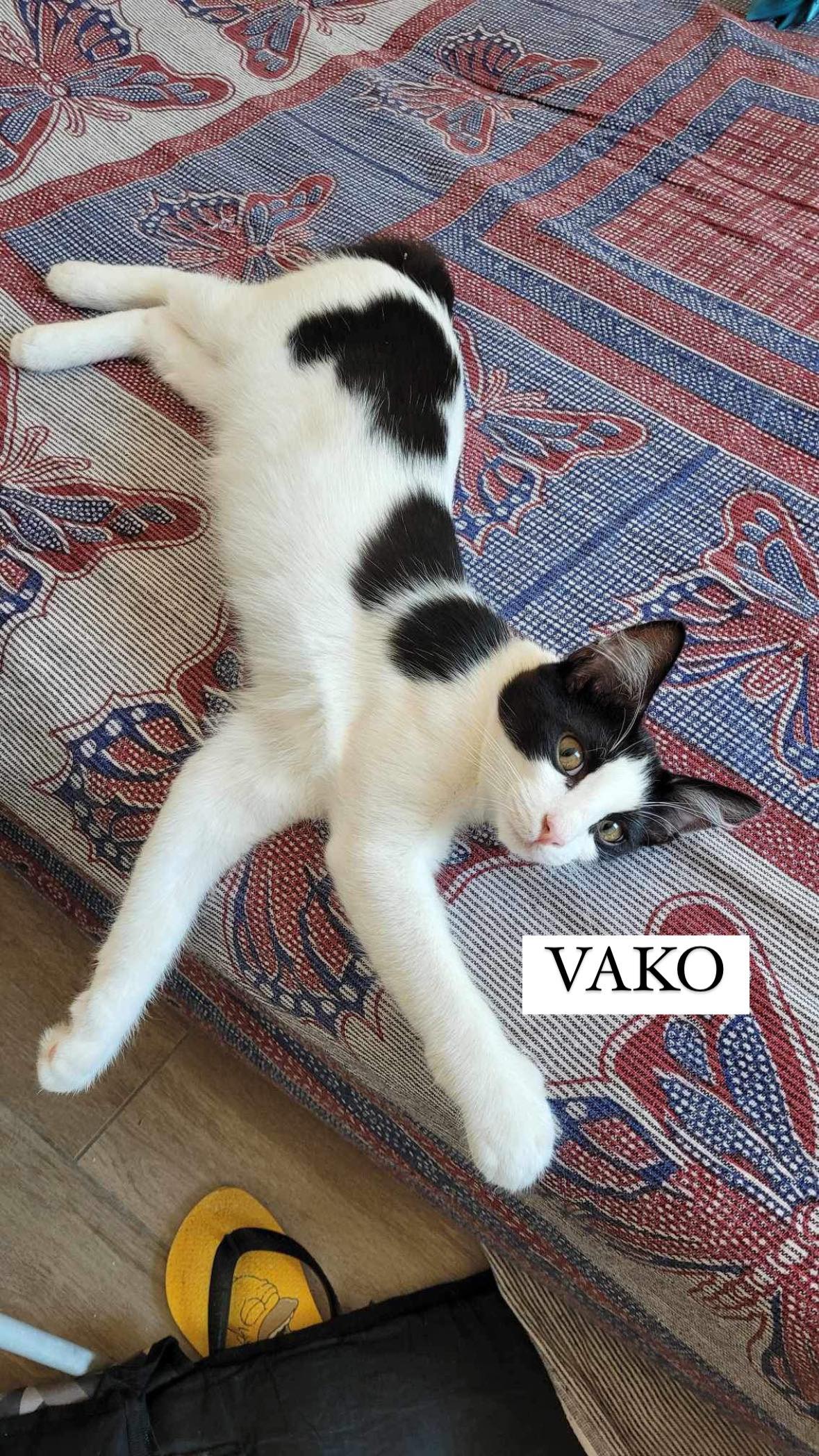 Vako