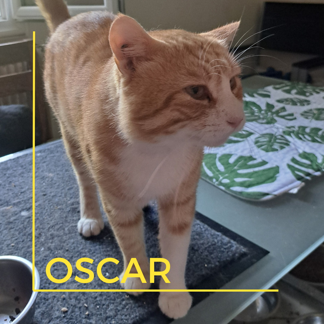 OSCAR