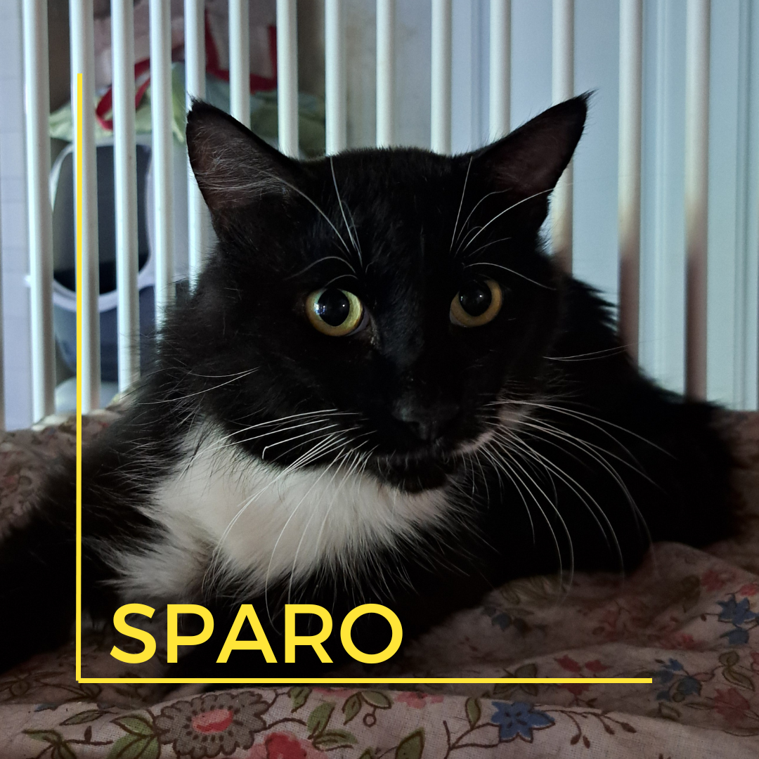 SPARO