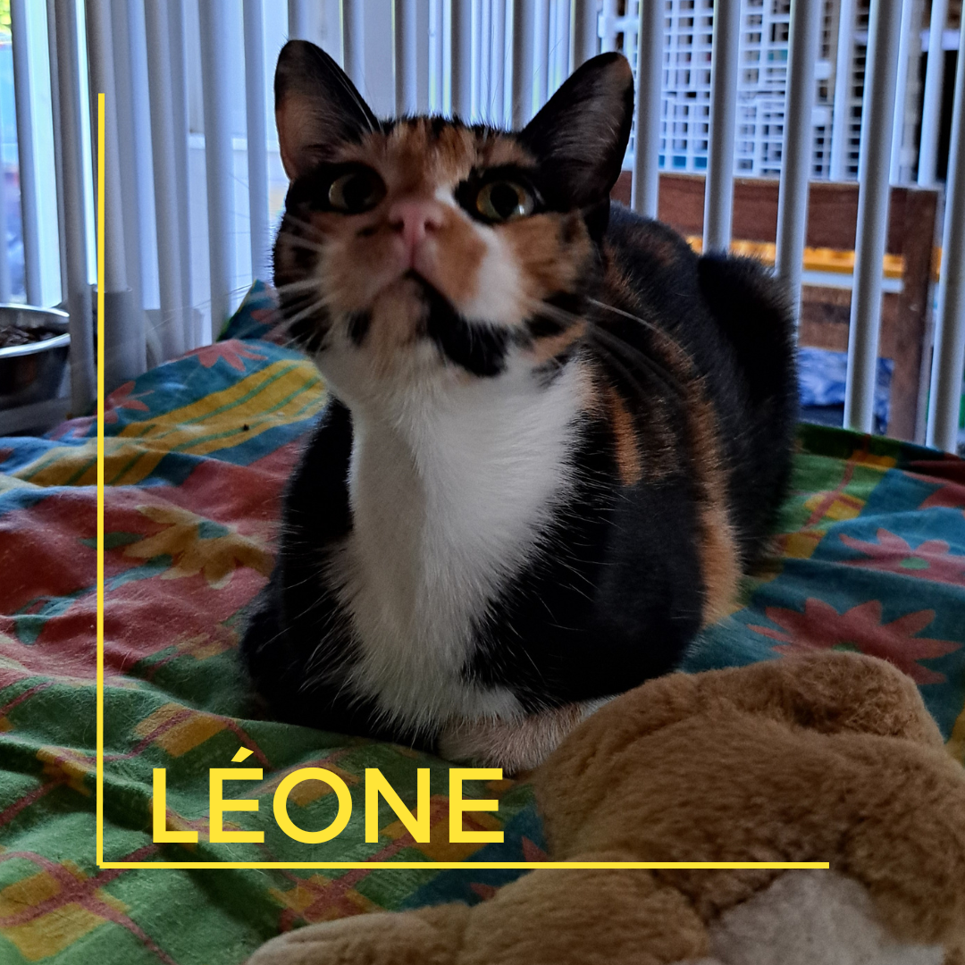 LÉONE