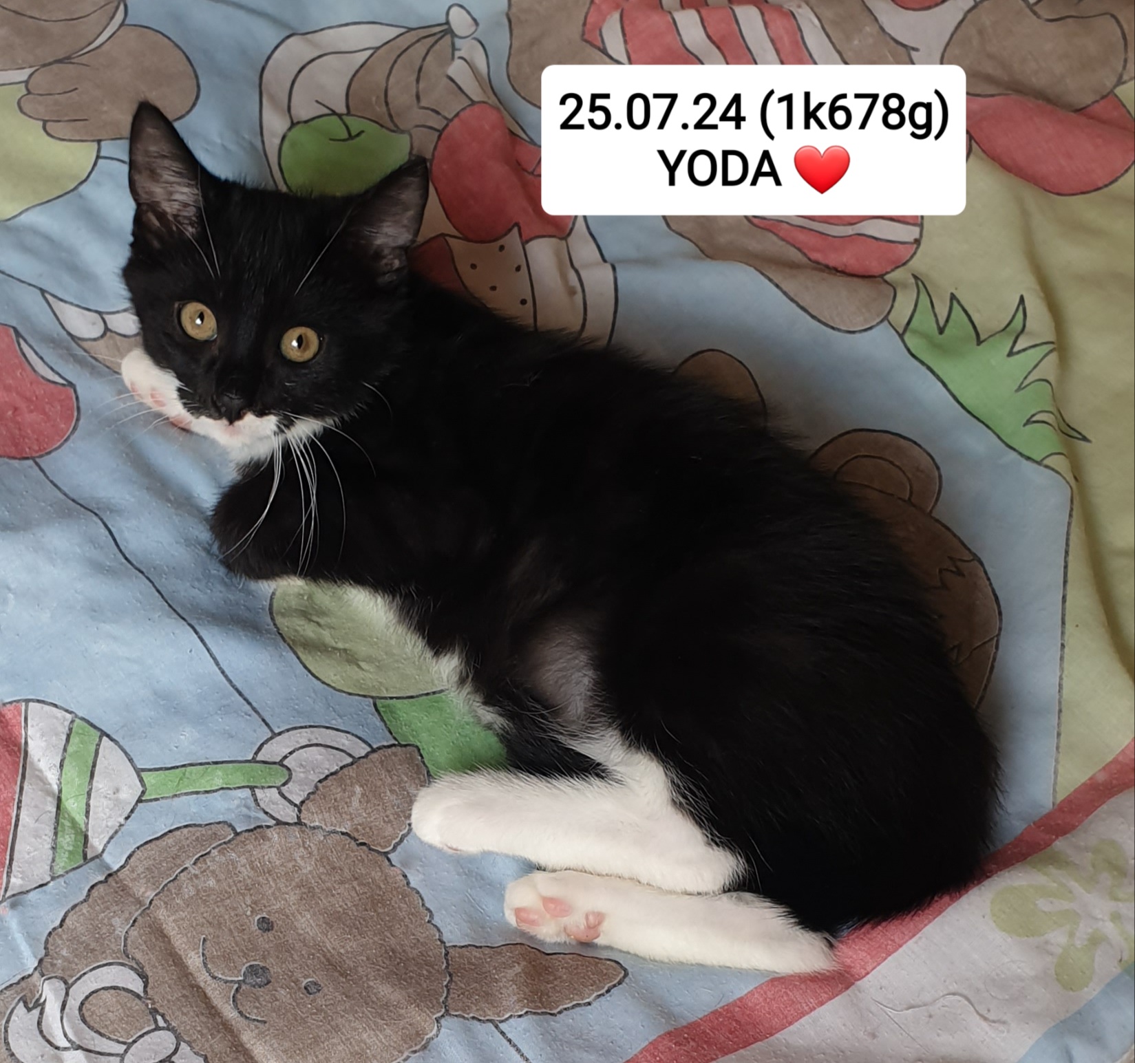 YODA