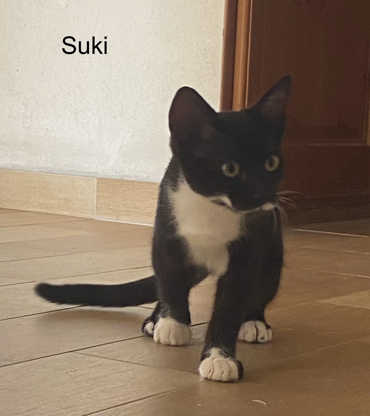 SUKI