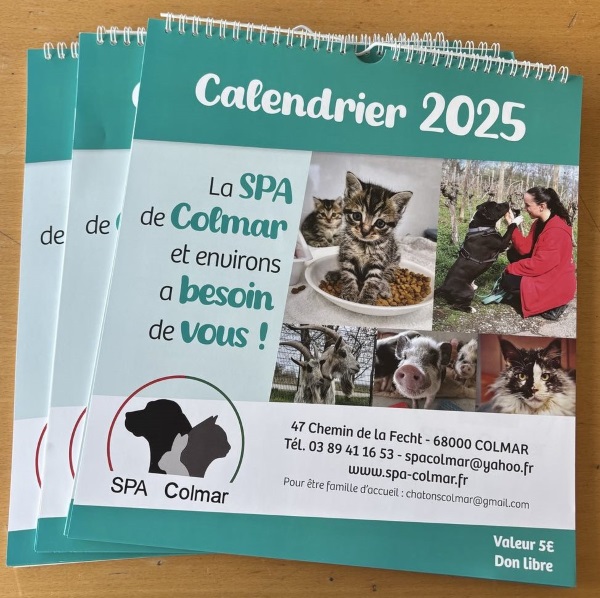 Les calendriers arrivent !