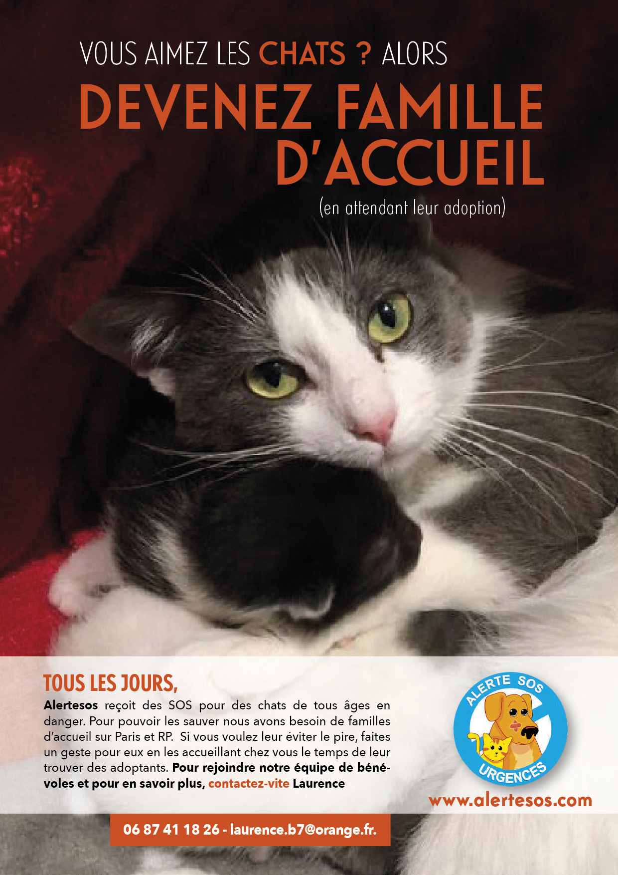 Alerte Sos Alertesos Recherche Des Familles D Accueil Chats