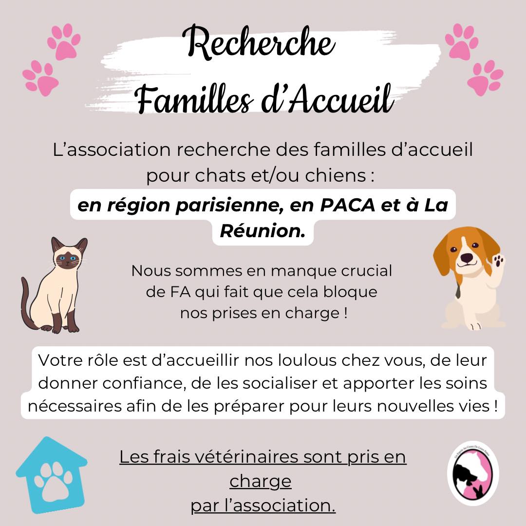 Recherche Familles d'accueil PACA & Région Parisienne