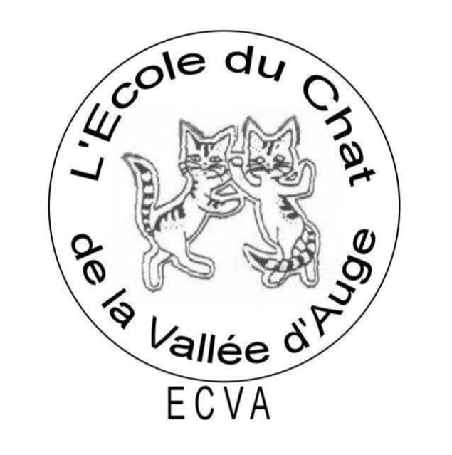 Ecole du chat de la vallée d'Auge ECVA