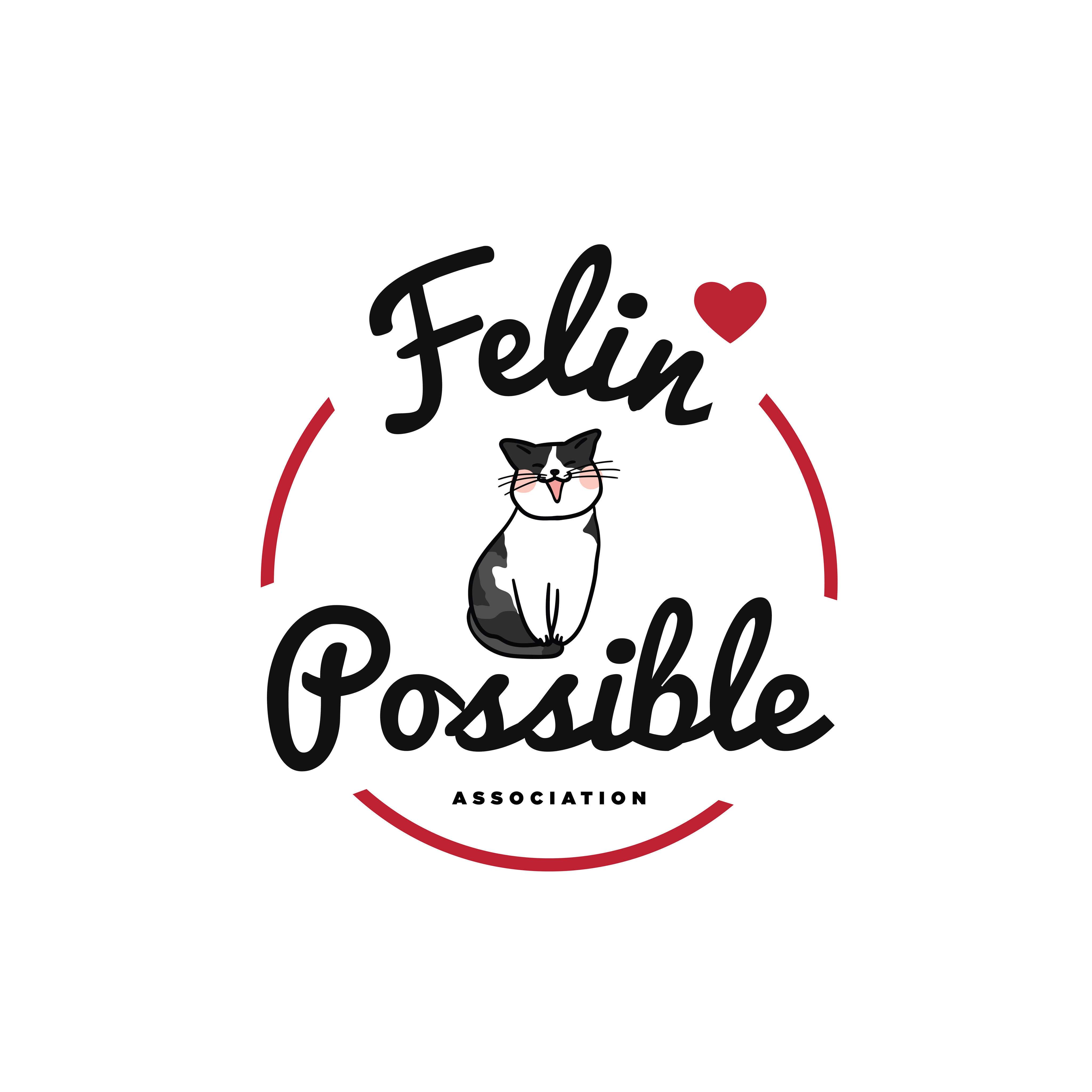 Félin possible 76