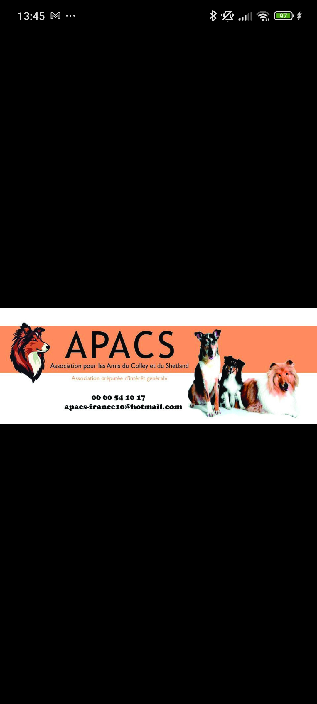 APACS Association pour les Amis du Colley et du Shetland