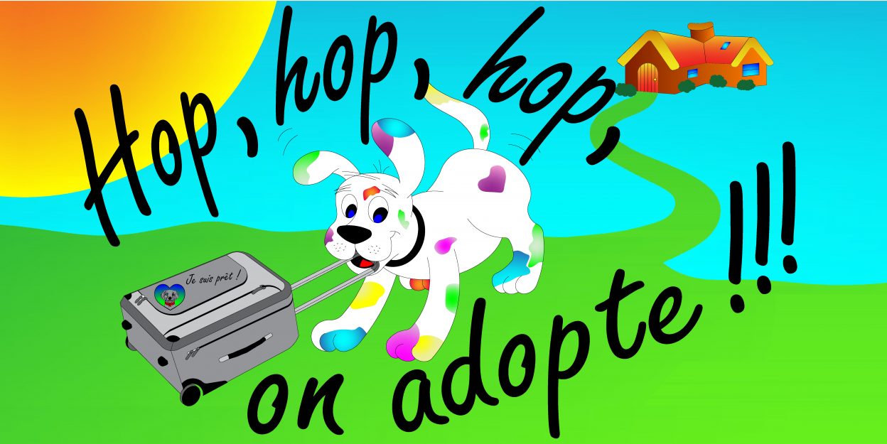 Hop, hop, hop on adopte !