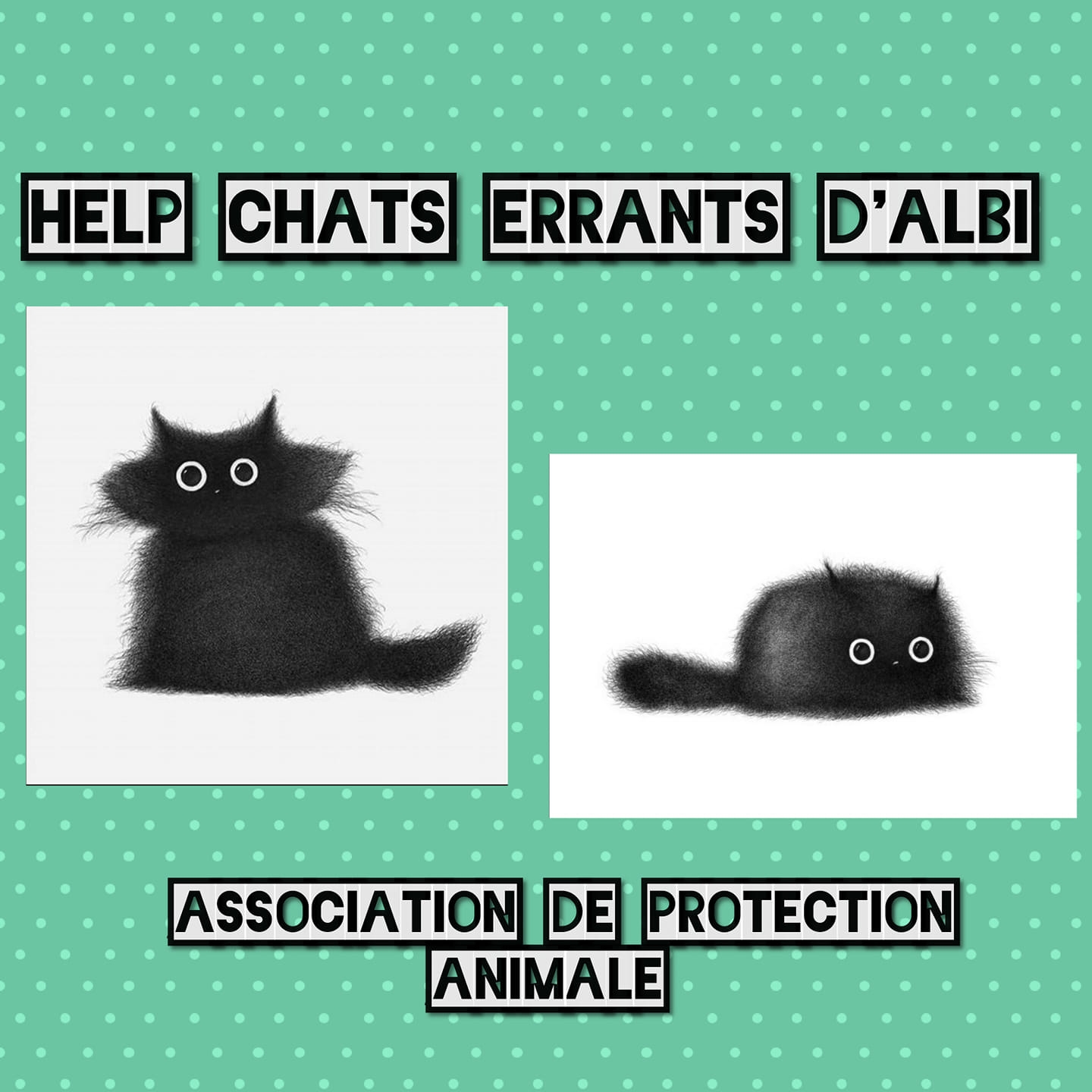 Help chats errants d'Albi