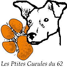 Les Ptites Gueules du 62