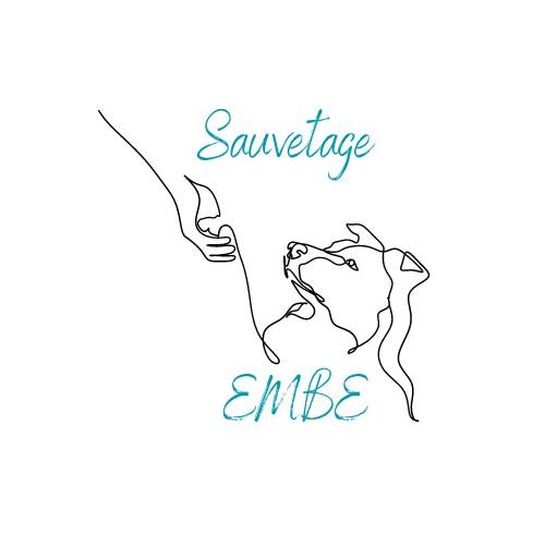 Association Sauvetage EMBE