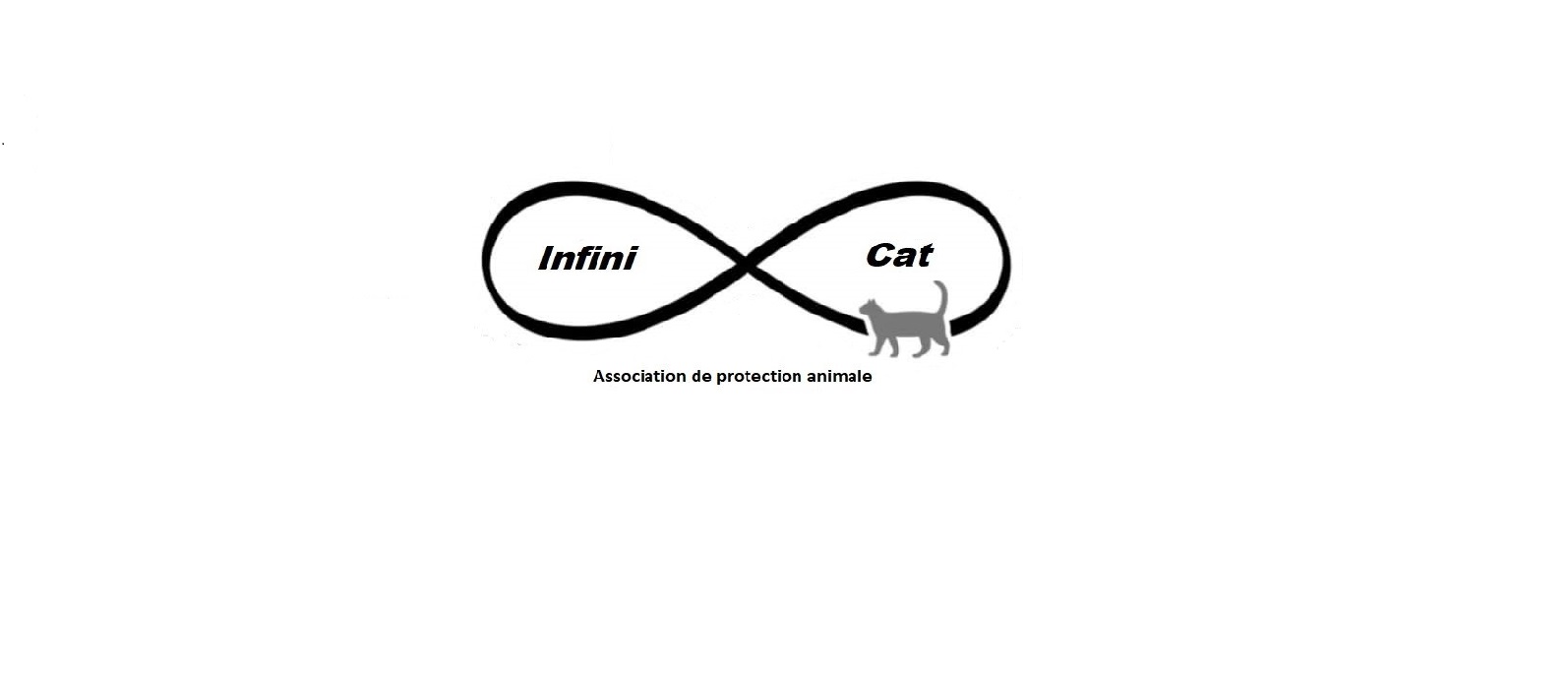 Infini Cat