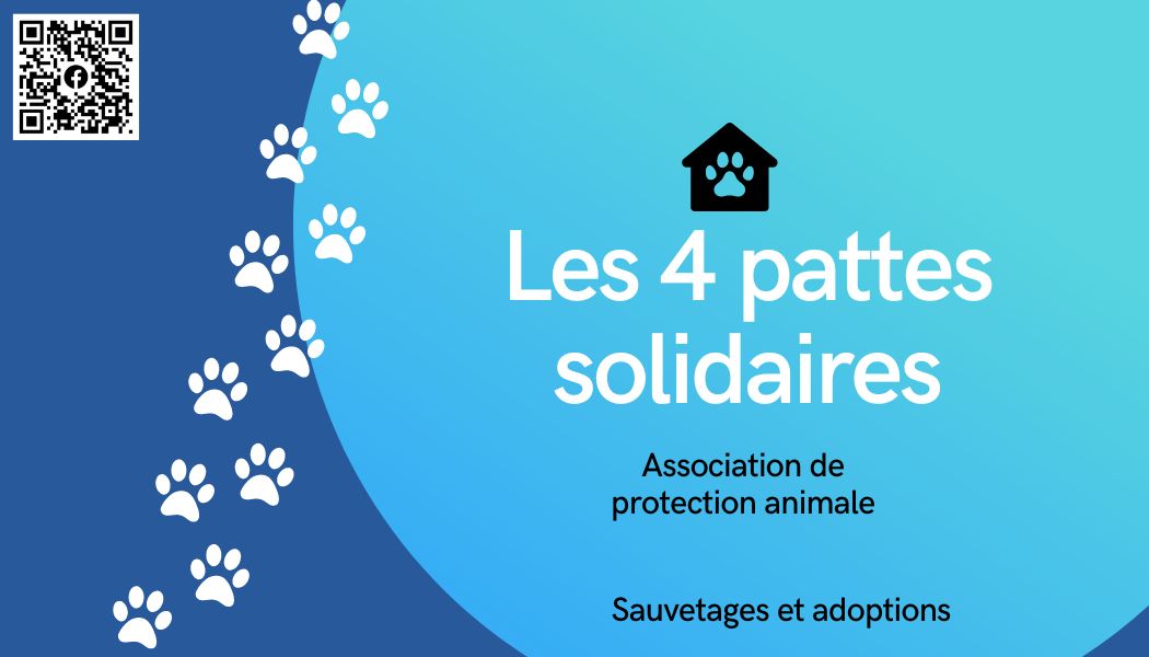 Les 4 Pattes solidaires