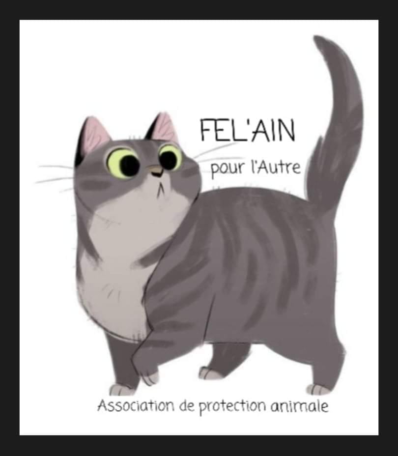 Fel'Ain pour l'autre