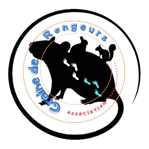 Graine de Rongeurs