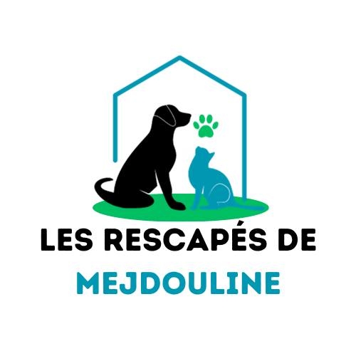 Les Rescapés de Mejdouline