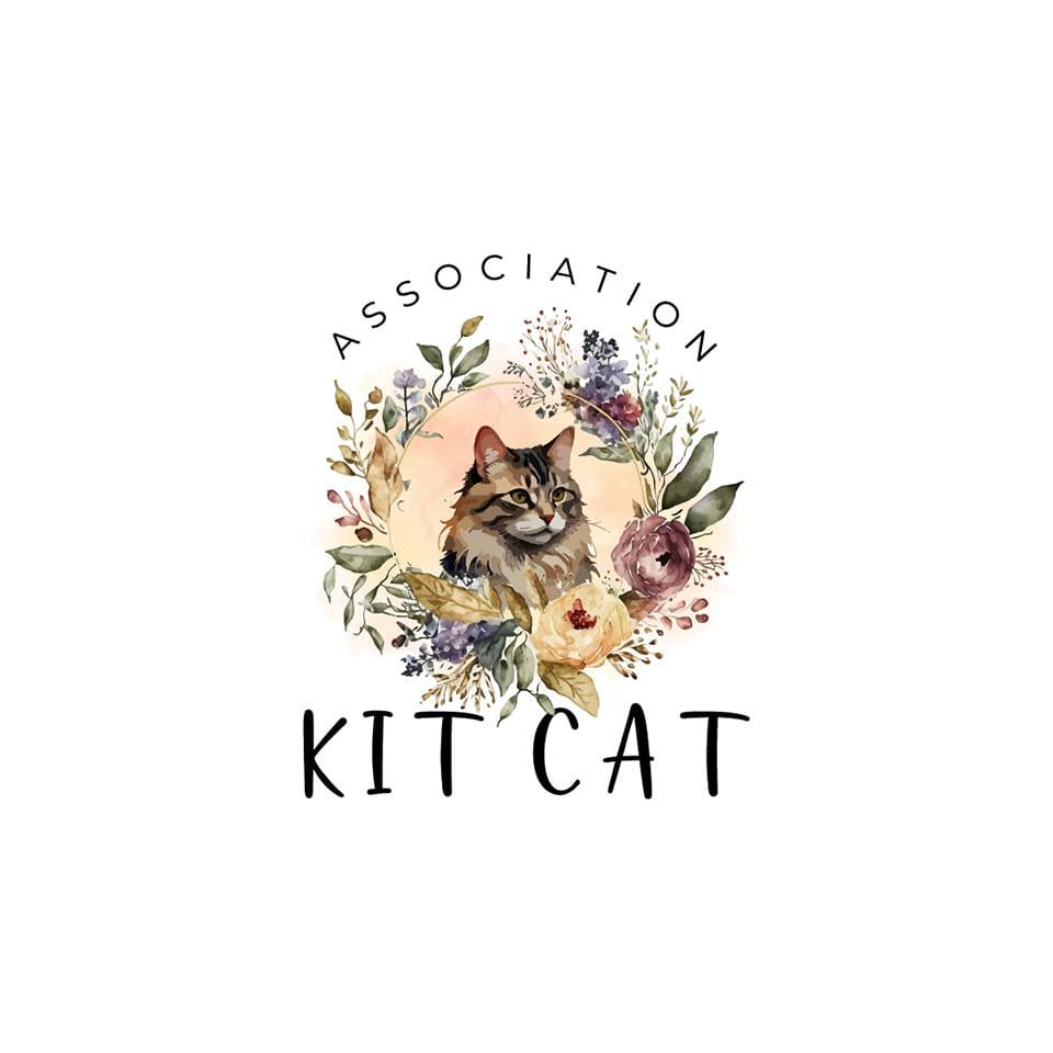 Kit Cat