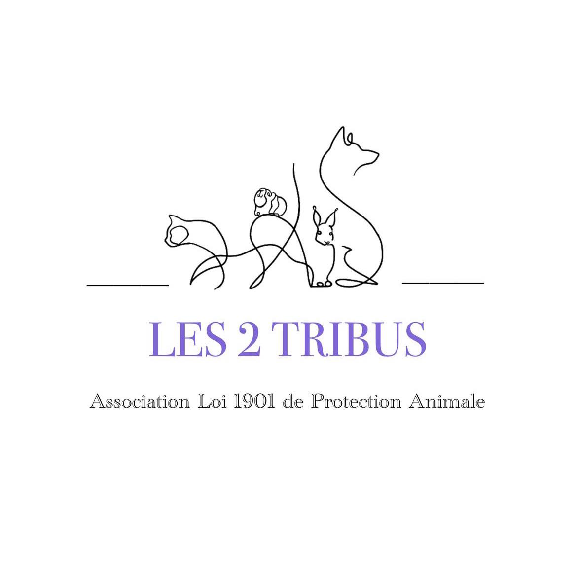 Les 2 Tribus