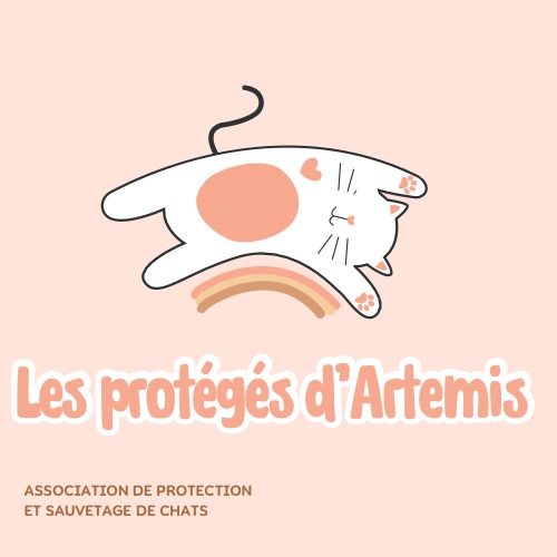 Les protégés d’Artémis