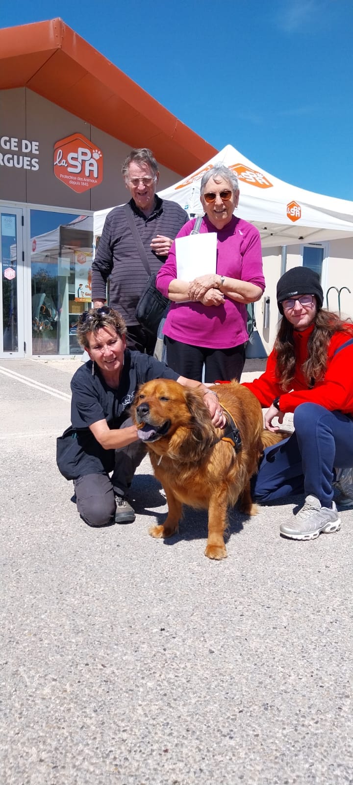 On vous dit tout : Les chiens à l’adoption suite au décès de leur maître, hospitalisation, entrée en EHPAD, etc...